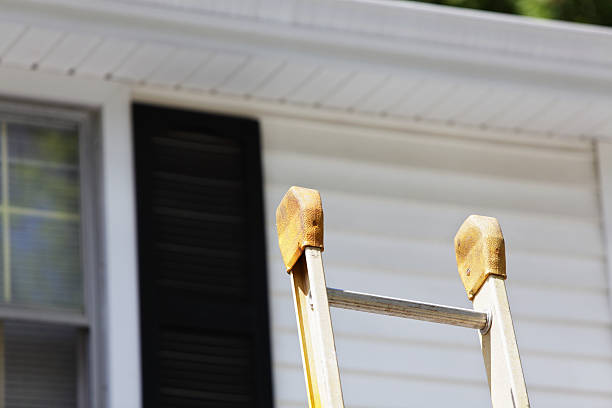 Best Fiber Cement Siding Installation  in Maitland, FL